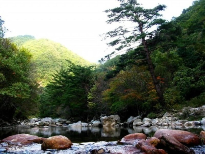 Danyang Fragrant Tree Pension