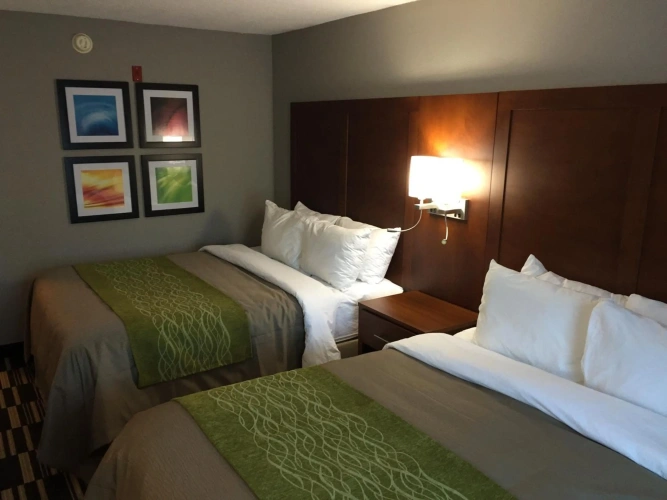 Guest rooms