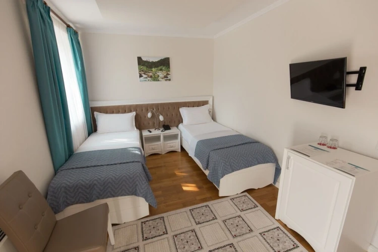 Standard Twin room with garden view