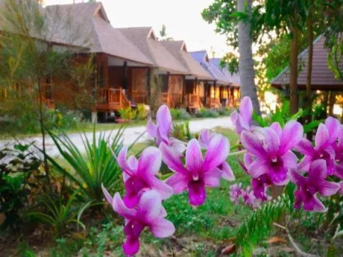 Single Bungalow