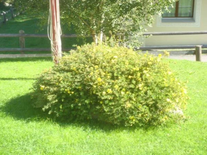Chesa Viletta