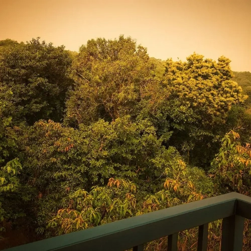 Family Apartment with balcony and with garden view
