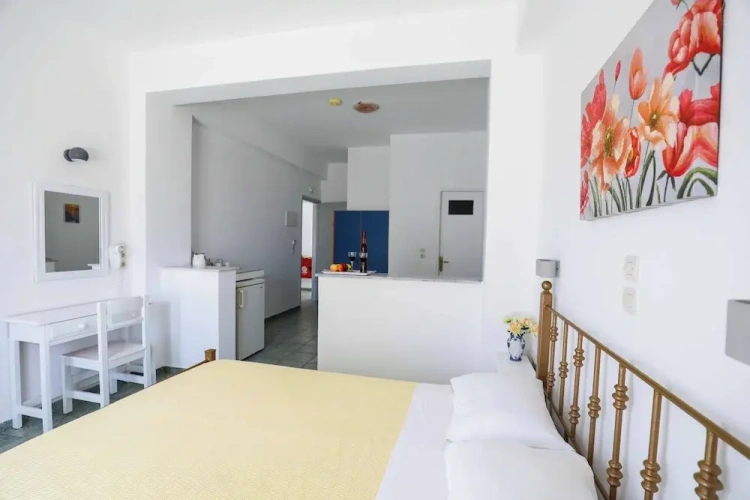 Classic Double room with balcony and with courtyard view