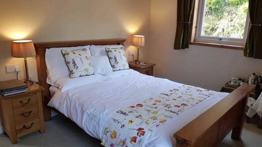 Standard Double room with garden view