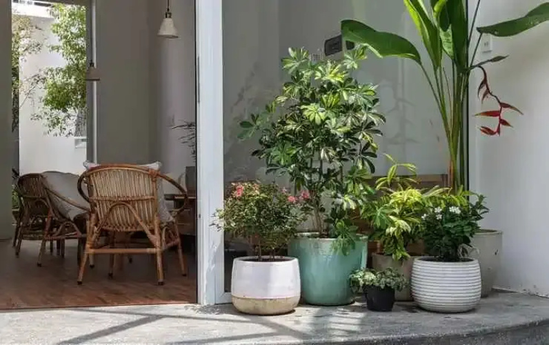 Metta Homestay Hue