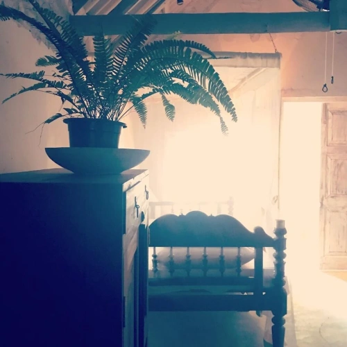 Standard Double room with sea view