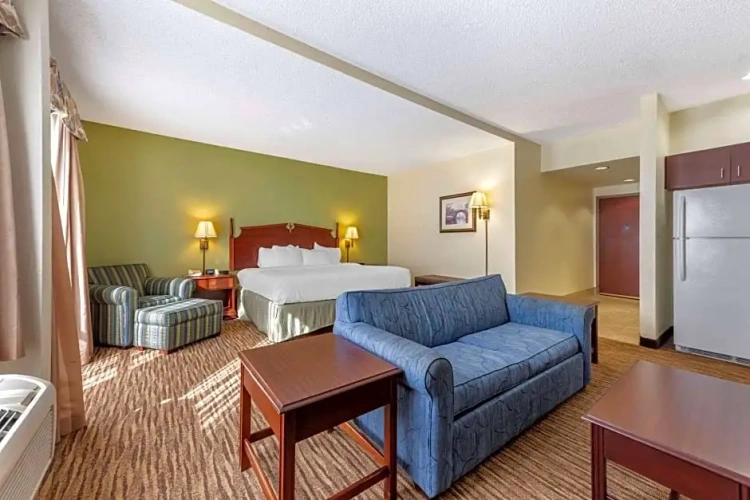 1 Bedroom Single Suite