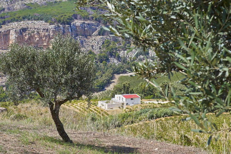 Villa Bonifato