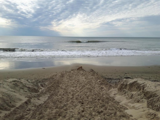 Beach