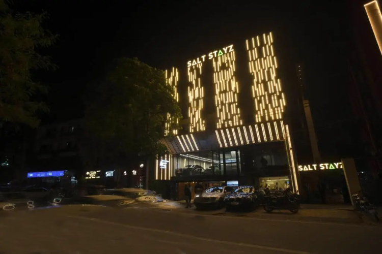Saltstayz Premier Naraina Central Delhi - Delhi