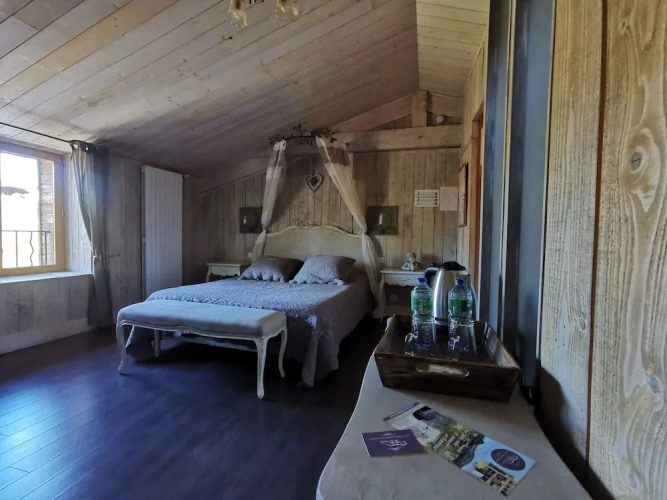 Standard Double room with river view