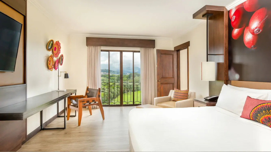 1 Bedroom Suite