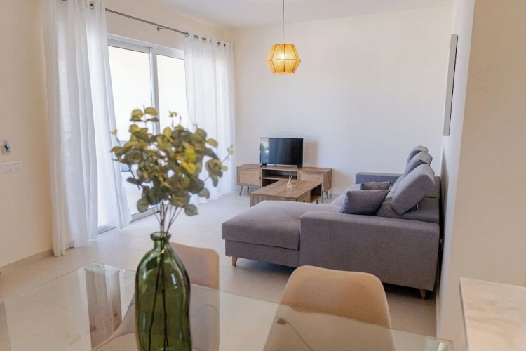 Luxury Apartment