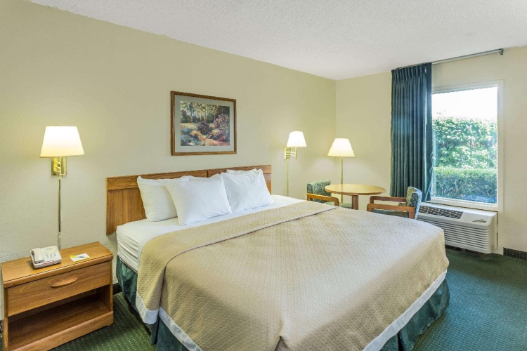 Standard Double room with pool view