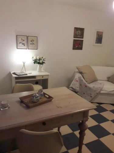 Basement Apartment