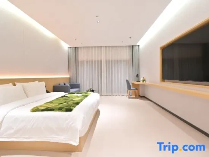 Standard Double room with view