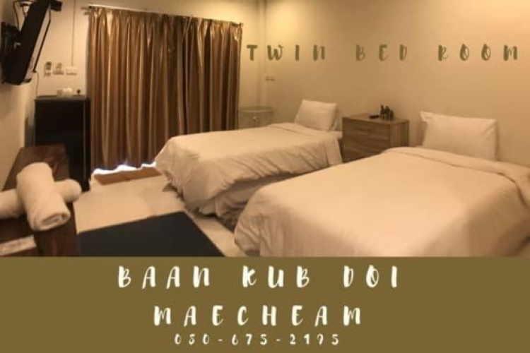 Standard Twin room with pool view