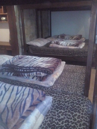 Bed in Dorm