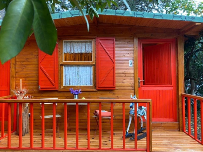 Standard Double room with mountain view