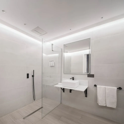 1 Bedroom Luxury Suite with city view
