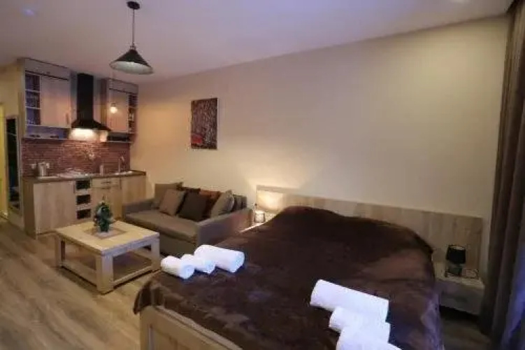Bakuriani House