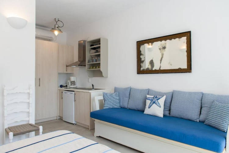 Standard Double room with garden view