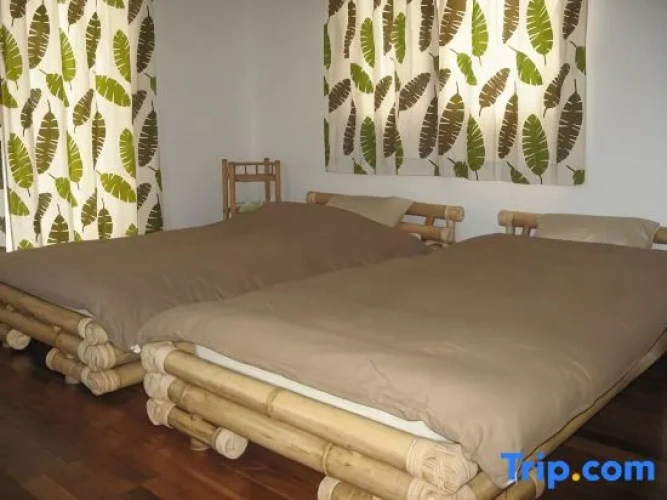 Standard Twin room with ocean view