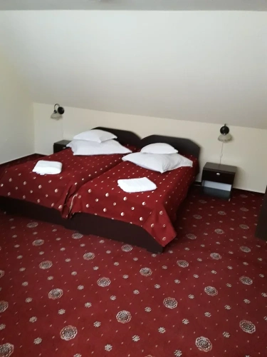 Economy Twin room with view