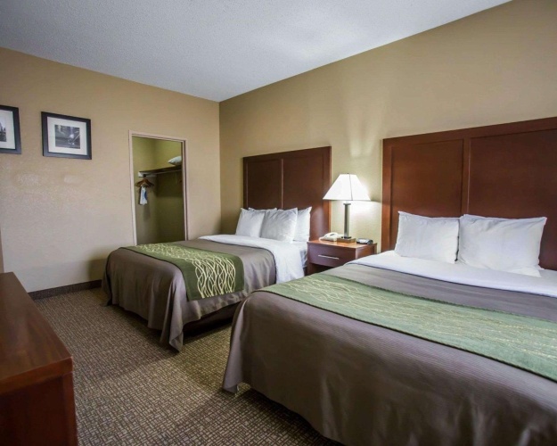 Quadruple Suite