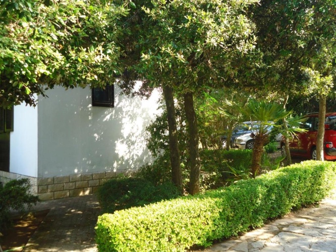 1 Bedroom Bungalow with garden view