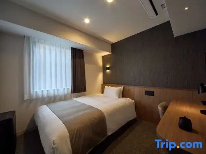 Standard Twin room with city view
