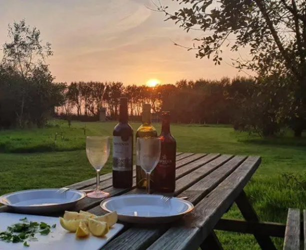 Mill Haven Place glamping-yurt 2