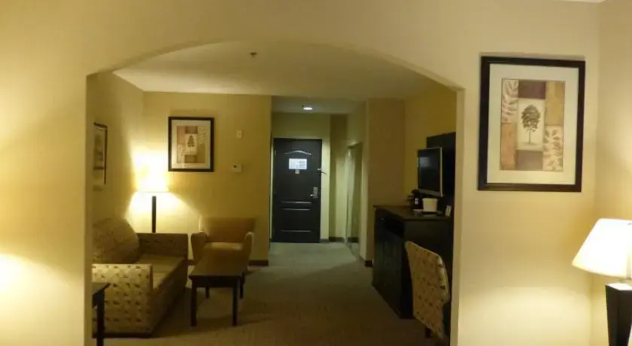 Comfort Inn & Suites Downtown