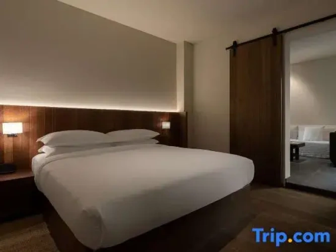 Deluxe Suite with lake view