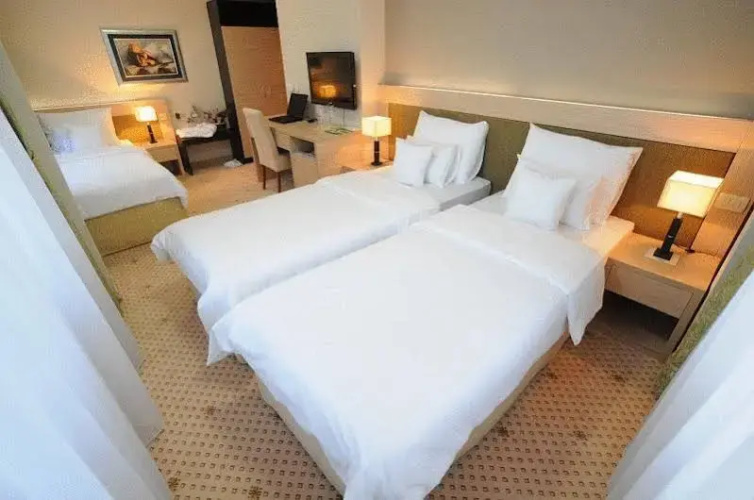 Hotel Park