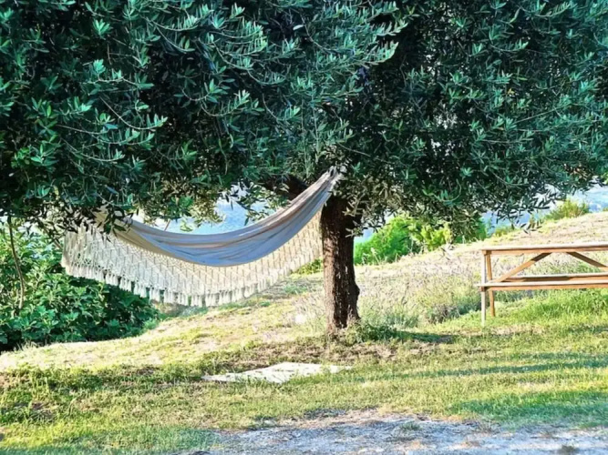 Lovely Apartment in Ripatransone