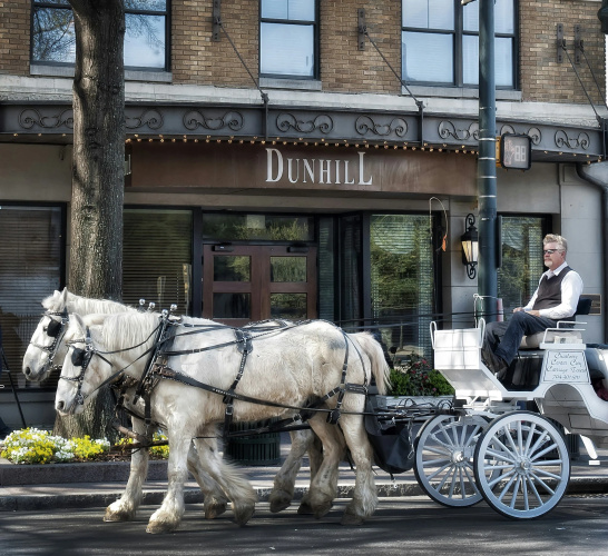 The Dunhill Hotel photo 18