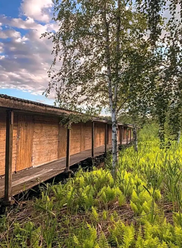 Tiny lake house