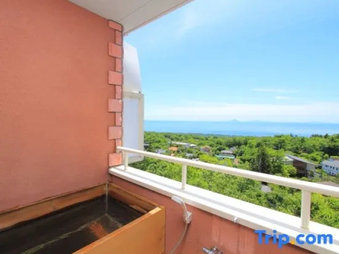 Standard Twin room with ocean view