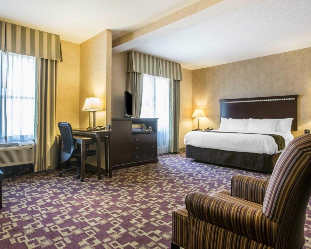 1 Bedroom Suite