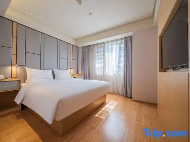 Twin Suite