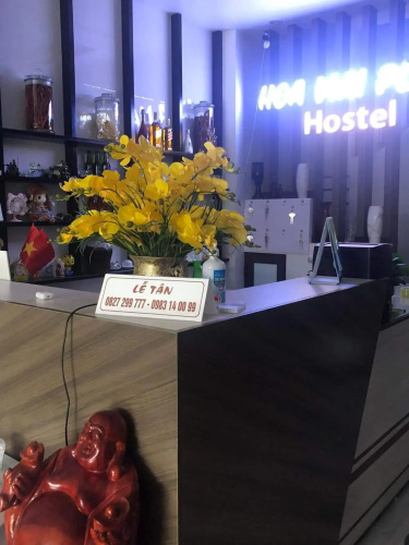 HOA MAI Plus Hostel