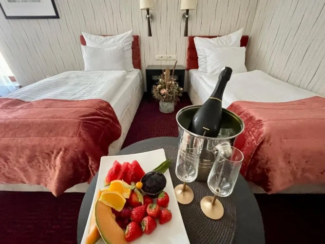 Standard Twin room