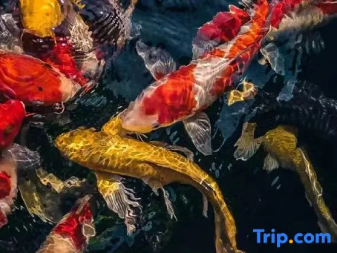 Narada Resort Shanghai