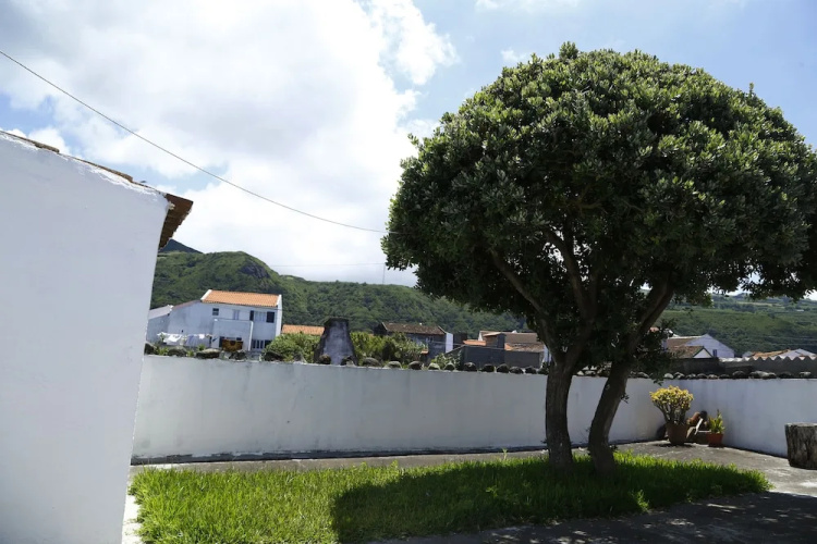 Magnólia