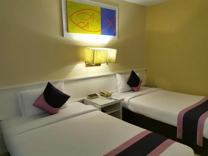 Superior Double room with city view