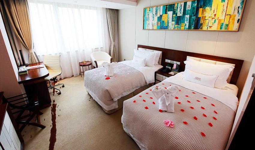 Standard Double room