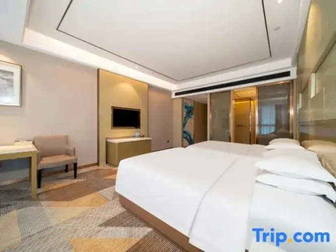 Executive Twin room
