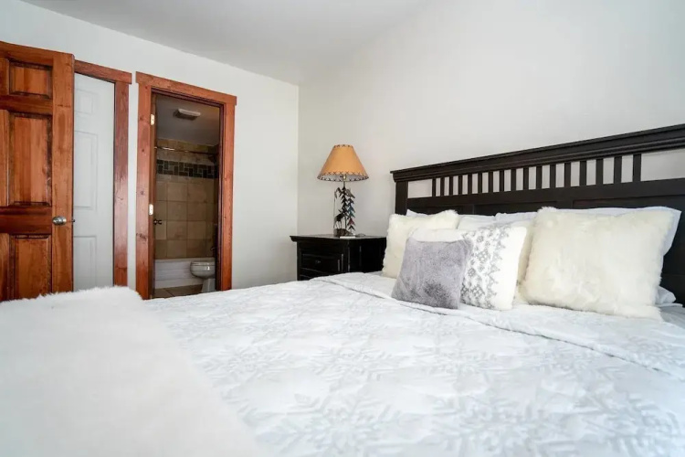 The Mountain Escape in Vail