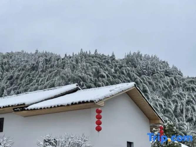 Outside